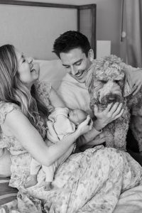 A sweet in-home newborn session with a family dog by Alicia D'Elia Photography, Colorado family photographer.