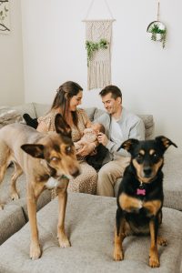 A sweet in-home newborn session by Alicia D'Elia Photography, Colorado family photographer.
